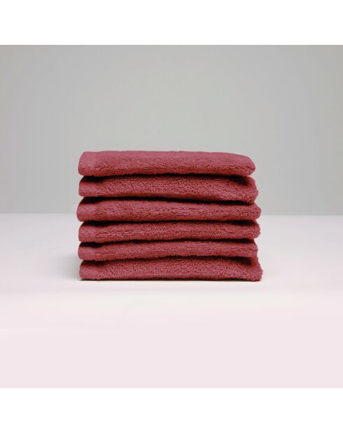 Gant de toilette coton peigné LT Oasis terracotta - 6x(15x21 cm)