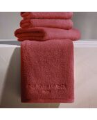 Gant de toilette coton peigné LT Oasis terracotta - 6x(15x21 cm)