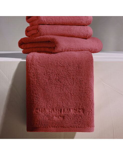 Gant de toilette coton peigné LT Oasis terracotta - 6x(15x21 cm)