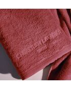 Gant de toilette coton peigné LT Oasis terracotta - 6x(15x21 cm)