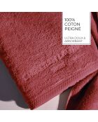 Gant de toilette coton peigné LT Oasis terracotta - 6x(15x21 cm)