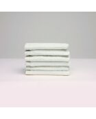 Gant de toilette coton peigné LT Oasis blanc - 6x(15x21 cm)