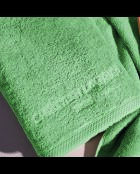 LT Oasis Handtuch aus gekämmter Baumwolle und Badetuch Salbeigrün - 2x (50x100 cm)