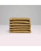 Gant de toilette coton peigné LT Oasis jaune moutarde - 6x(15x21 cm)