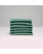 Gant de toilette coton peigné LT Oasis vert bouteille - 6x(15x21 cm)