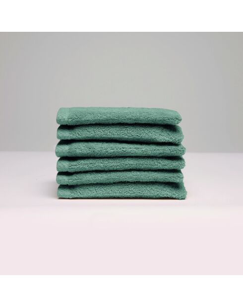 Gant de toilette coton peigné LT Oasis vert bouteille - 6x(15x21 cm)