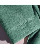 Gant de toilette coton peigné LT Oasis vert bouteille - 6x(15x21 cm)