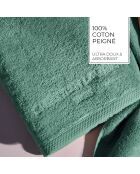 Gant de toilette coton peigné LT Oasis vert bouteille - 6x(15x21 cm)