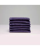 Gant de toilette coton peigné LT Oasis mauve - 6x(15x21 cm)