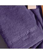 Gant de toilette coton peigné LT Oasis mauve - 6x(15x21 cm)