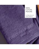 Gant de toilette coton peigné LT Oasis mauve - 6x(15x21 cm)