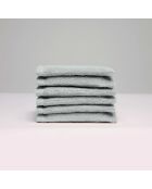 Gant de toilette coton peigné LT Oasis sable - 6x(15x21 cm)