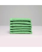 Gant de toilette coton peigné LT Oasis vert sauge - 6x(15x21 cm)