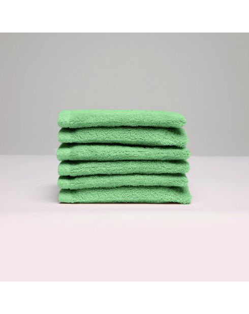 Gant de toilette coton peigné LT Oasis vert sauge - 6x(15x21 cm)