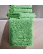 Gant de toilette coton peigné LT Oasis vert sauge - 6x(15x21 cm)