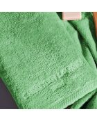 Gant de toilette coton peigné LT Oasis vert sauge - 6x(15x21 cm)