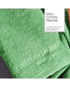 Gant de toilette coton peigné LT Oasis vert sauge - 6x(15x21 cm)