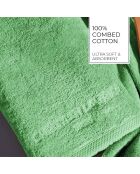 Gant de toilette coton peigné LT Oasis vert sauge - 6x(15x21 cm)