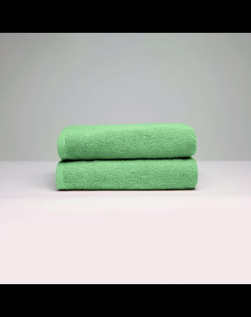 LT Oasis Handtuch aus gekämmter Baumwolle salbeigrün - 2x (50x100 cm)