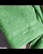 LT Oasis Handtuch aus gekämmter Baumwolle salbeigrün - 2x (50x100 cm)