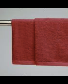 Asciugamani in cotone pettinato terracotta LT Oasis - 2x (45x45 cm)