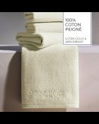 Serviette d'invité coton peigné LT Oasis ivoire - 4x(30x30 cm)