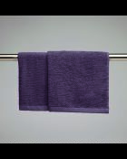 Asciugamani in cotone pettinato viola LT Oasis - 2x (45x45 cm)