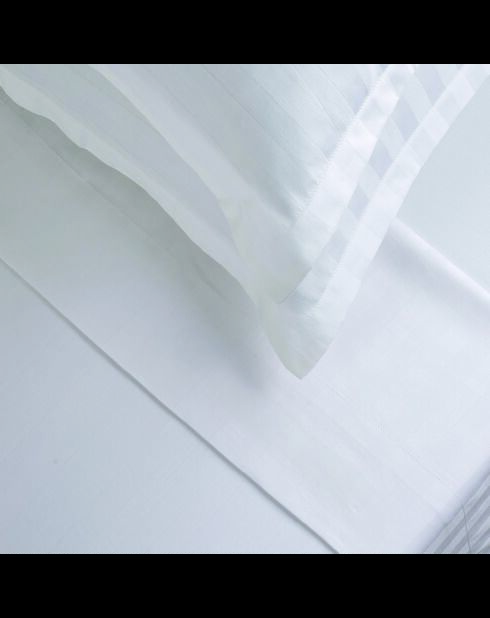 Drap plat satin de coton dobby stripe Jacquard blanc 01