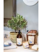 Savon liquide de Marseille Lavandin Genêt - 500ml