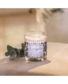 Bougie Naturelle Parfumée Eucalyptus Purifiant  - 180g