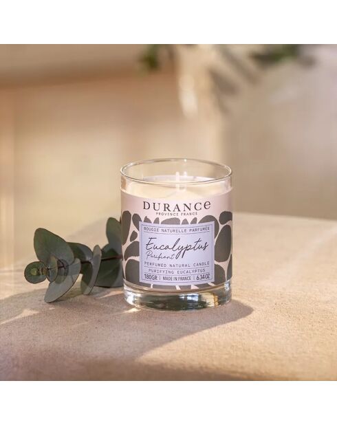 Bougie Naturelle Parfumée Eucalyptus Purifiant  - 180g