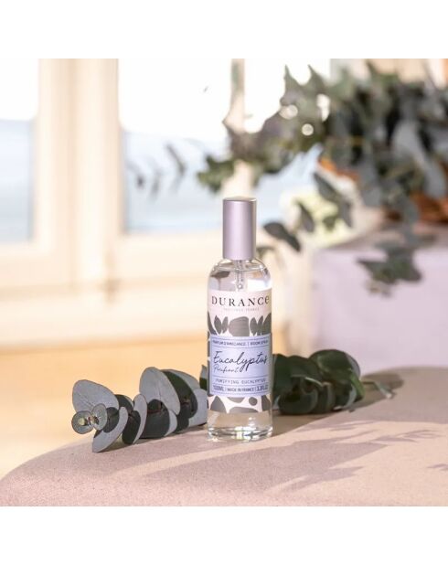 Parfum d'ambiance Eucalyptus Purifiant - 100ml