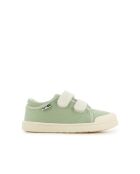 Sneakers Izy Scratch, mandelfarben
