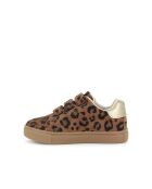 Sneakers Basil Scratch in cammello scuro