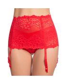 Liguero rojo de Catharina