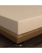 Ranforce King Spannbetttuch aus Baumwolle, 160 x 200 cm, Beige