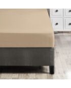 Ranforce King Spannbetttuch aus Baumwolle, 160 x 200 cm, Beige
