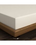 Lenzuolo con angoli elasticizzati Ranforce King in cotone crema - 160 x 200 cm