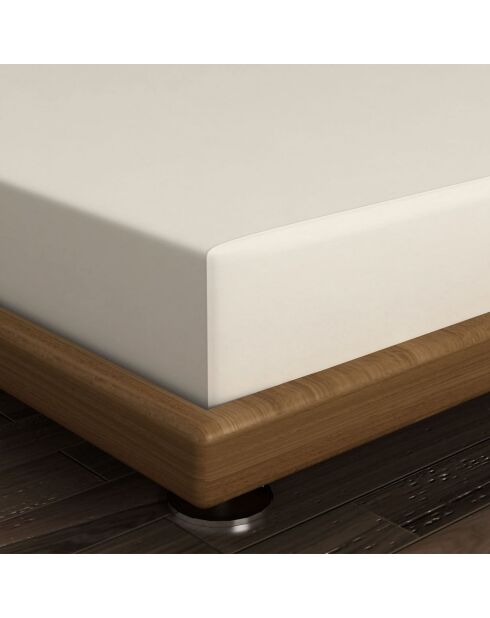 Ranforce King Spannbetttuch aus Baumwolle, 160 x 200 cm, cremefarben