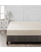 Lenzuolo con angoli elasticizzati Ranforce King in cotone crema - 160 x 200 cm