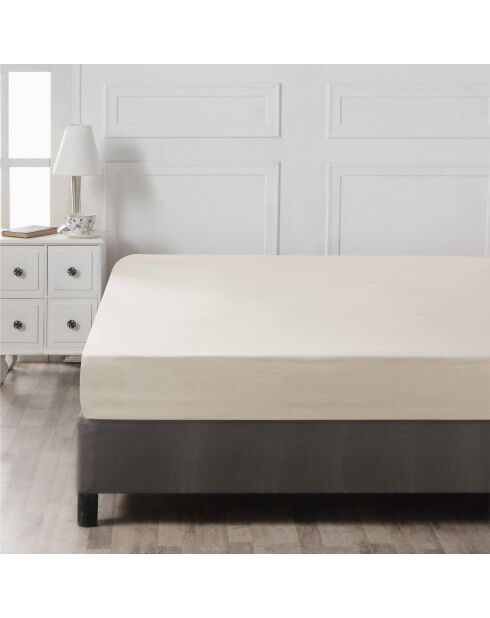 Ranforce King Spannbetttuch aus Baumwolle, 160 x 200 cm, cremefarben