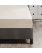 Lenzuolo con angoli elasticizzati Ranforce King in cotone crema - 160 x 200 cm
