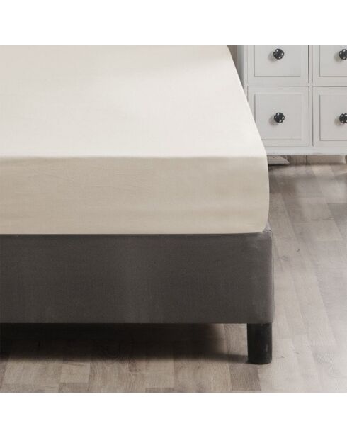 Ranforce King Spannbetttuch aus Baumwolle, 160 x 200 cm, cremefarben