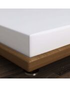 Ranforce Double XL Spannbetttuch aus Baumwolle, Weiß