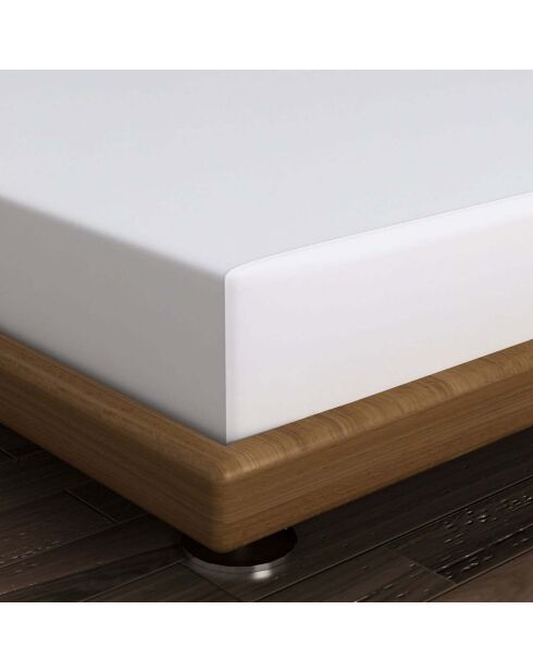 Lenzuolo con angoli elasticizzati Ranforce Double XL, bianco