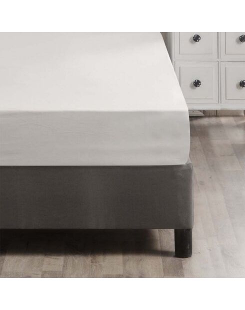 Lenzuolo con angoli elasticizzati Ranforce Double XL, bianco