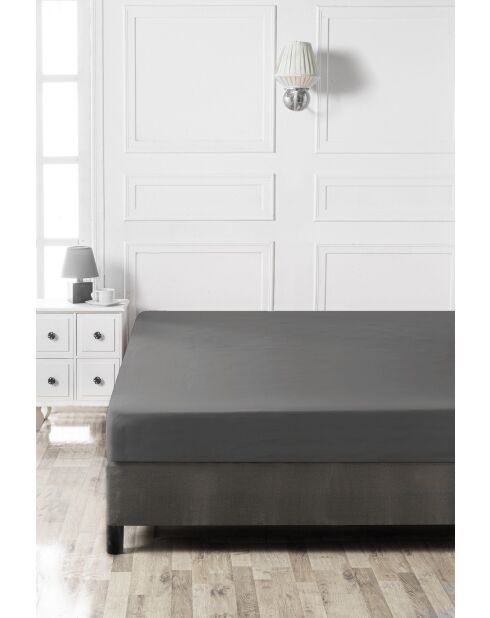 Lenzuolo con angoli elasticizzati Ranforce King in cotone antracite, 160 x 200 cm