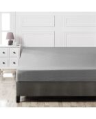 Lenzuolo con angoli elasticizzati Ranforce Super King in cotone grigio scuro, 180 x 200 cm