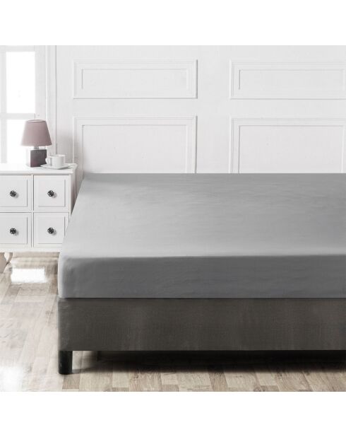 Lenzuolo con angoli elasticizzati Ranforce Super King in cotone grigio scuro, 180 x 200 cm