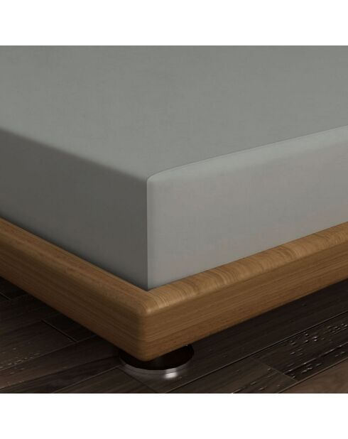 Lenzuolo con angoli elasticizzati Ranforce Super King in cotone grigio scuro, 180 x 200 cm